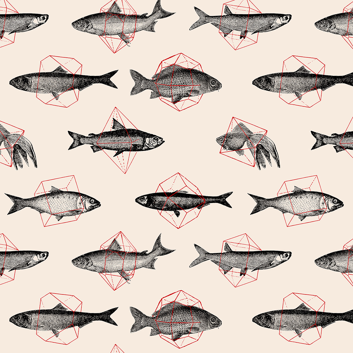 <dive><h1>Fishes In Geometrics</h1>Pattern</dive>